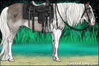 Horse Color:Liver Chestnut Splash Rabicano 