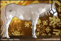 Horse Color:Liver Red Dun Splash 