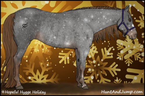 Horse Color:Liver Red Roan Rabicano