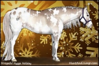 Horse Color:White Spotted Silver Brown Onyx Splash Blanket Rabicano 