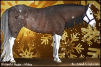 Horse Color:Brown Splash Appaloosa Rabicano 