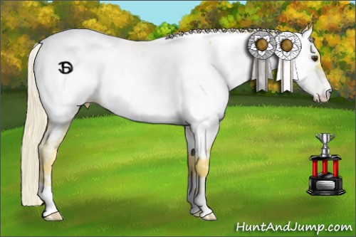 Horse Color:Palomino Roan Near Fewspot Rabicano