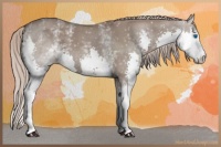 Horse Color:White Spotted Chocolate Silver Grullo Splash 