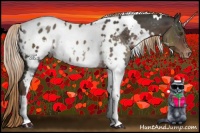 Horse Color:White Spotted Liver Chestnut Appaloosa Rabicano