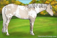 Horse Color:White Spotted Chocolate Palomino Pearl Varnish 