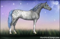 Horse Color:Painted Silver Black Chinchilla Ice