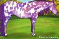 Horse Color:Brown Pearl Near Leopard Rabicano