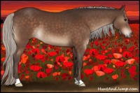 Horse Color:Silver Brown 