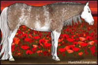 Horse Color:White Spotted Silver Brown Dun Splash 