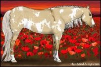 Horse Color:White Spotted Silver Smoky Grullo 