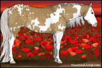 Horse Color:White Spotted Silver Buckskin Dun Sabino Splash