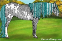 Horse Color:Painted White Spotted Silver Grullo Chinchilla Ice