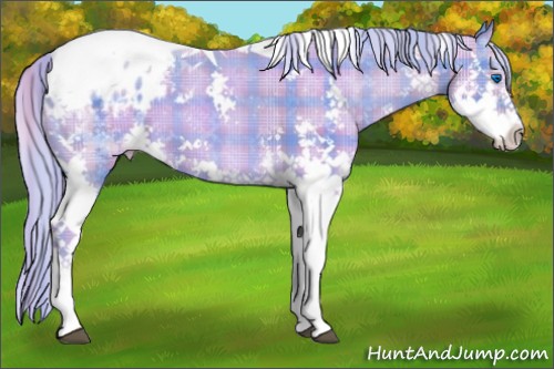Horse Color:Watercolor Plaid  Chestnut Splash Tobiano Varnish 