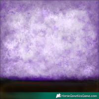 Horse Color:Watercolor Amber Champagne Sabino Splash Near Leopard  and Watercolor Amber Champagne Splash Tobiano 