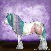 Horse Color:Watercolor Amber Champagne Sabino Splash Appaloosa  and Watercolor Amber Champagne Splash Tobiano 