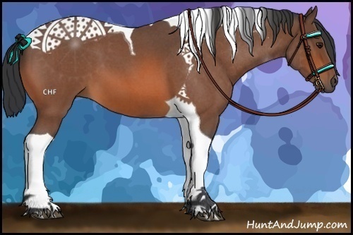 Horse Color:Bay Roan Tobiano 