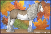 Horse Color:Liver Red Dun Mushroom Splash Rabicano