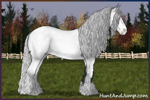 Horse Color:Silver Bay Chinchilla Sabino Tobiano