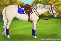 Horse Color:Silver Amber Champagne Ice Rabicano 