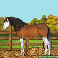 Horse Color:Brown Splash
