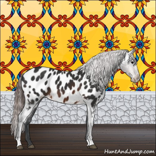 Horse Color:Brown Appaloosa 