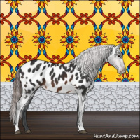 Horse Color:Brown Appaloosa 