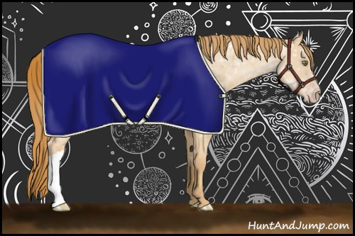 Horse Color:Gold Champagne Ice Rabicano 