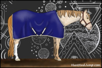 Horse Color:Gold Champagne Ice Rabicano