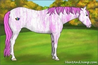 Horse Color:Watercolor Chestnut Ice Rabicano 