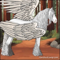 Horse Color:Silver Bay Frame Varnish 