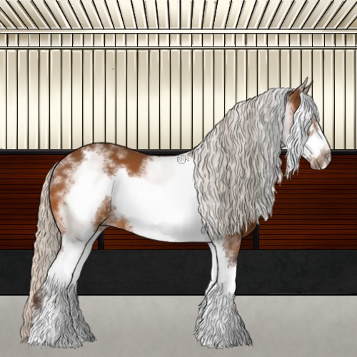 Horse Color:White Spotted Silver Bay Frame 