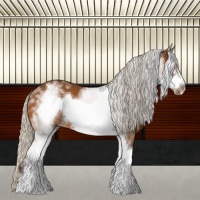 Horse Color:White Spotted Silver Bay Frame 
