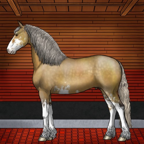 Horse Color:Silver Buckskin Dun Sabino