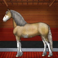 Horse Color:Silver Buckskin Dun Sabino