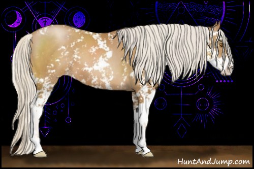 Horse Color:Silver Black Pearl Sabino 
