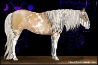 Horse Color:Silver Black Pearl Sabino 