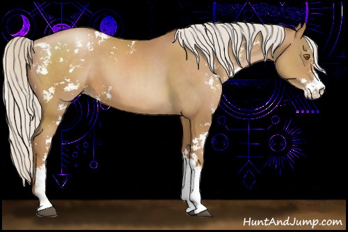 Horse Color:Silver Black Pearl Sabino
