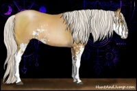 Horse Color:Silver Black Pearl Sabino Rabicano 