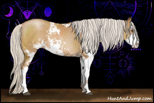 Horse Color:Silver Black Pearl Sabino 