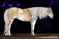 Horse Color:Silver Black Pearl Sabino 