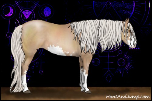 Horse Color:Silver Black Pearl Sabino 
