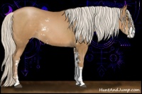 Horse Color:Silver Black Pearl Sabino Rabicano 