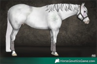 Horse Color:Watercolor White Spotted Silver Bay Ice Onyx 