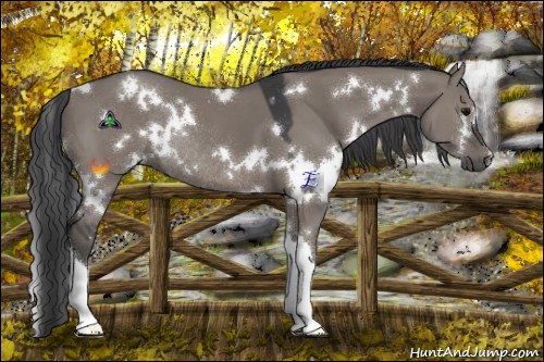 Horse Color:White Spotted Grullo Rabicano 