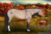 Horse Color:Brown Roan Dun Sabino 