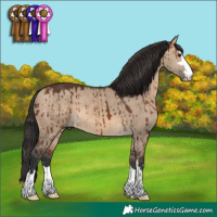 Horse Color:Brown Dun Brindle