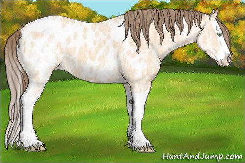 Horse Color:Amber Cream Champagne Ice Splash Near Leopard 
