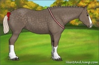 Horse Color:Silver Black Splash 