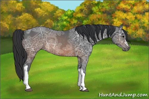 Horse Color:Brown Ice Rabicano 
