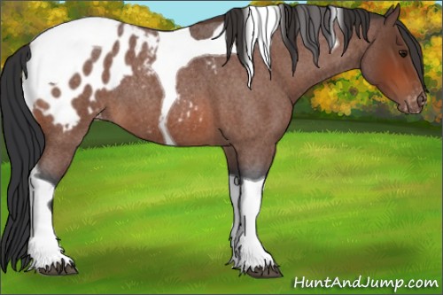 Horse Color:Bay Roan Tobiano Blanket 
